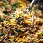 One Pan Cheesy Beef Orzo