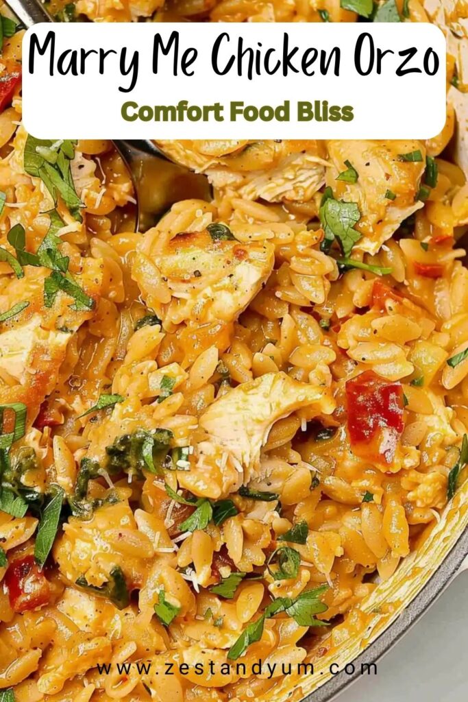 Marry Me Chicken Orzo