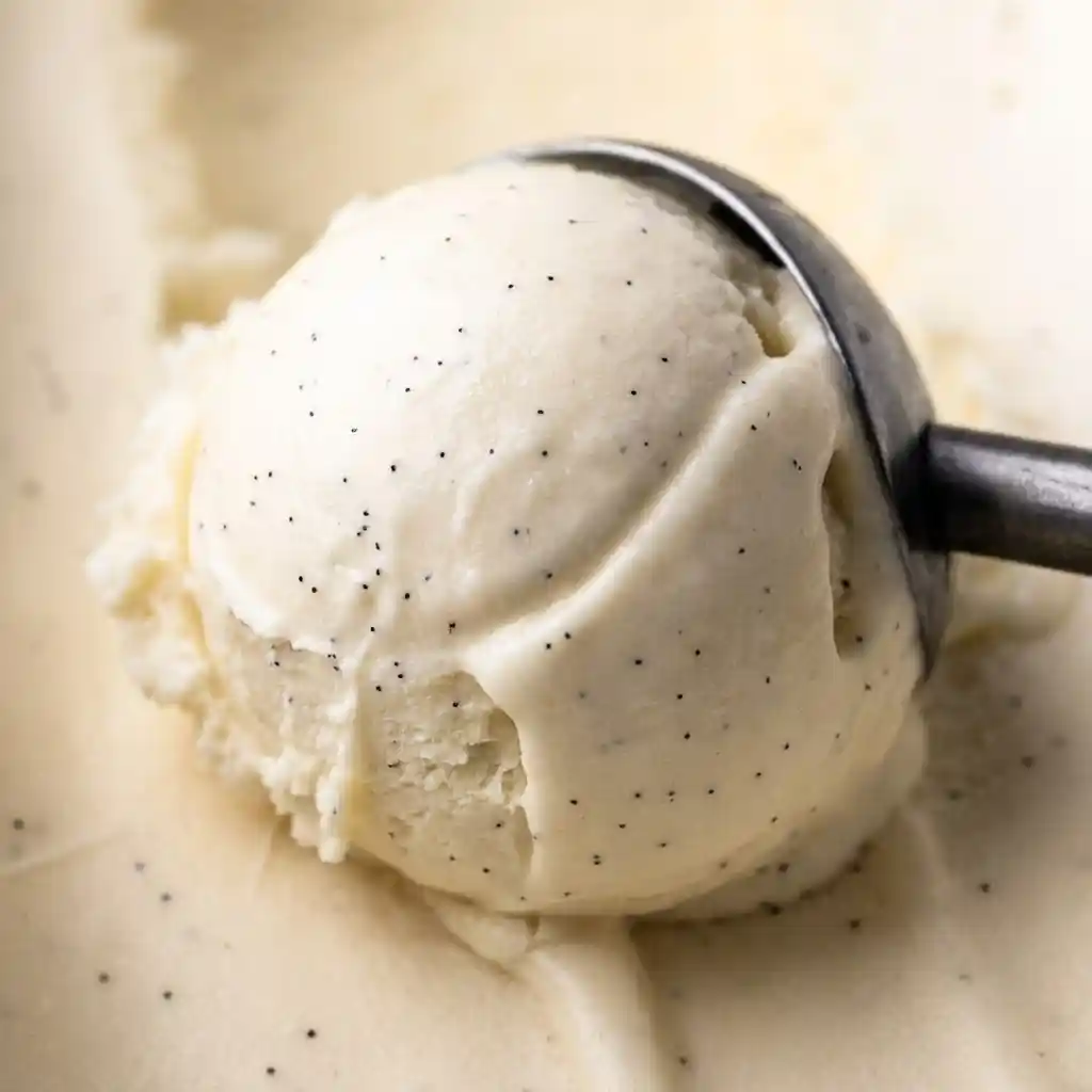 Vanilla Bean Ice Cream